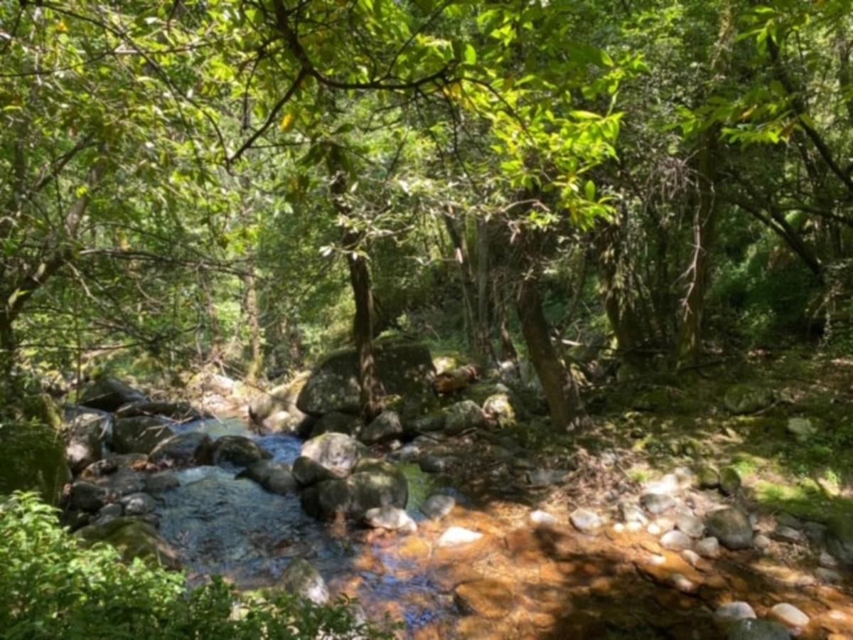Вилла Encosta Do Douro - Rio Douro Синфайнш Экстерьер фото