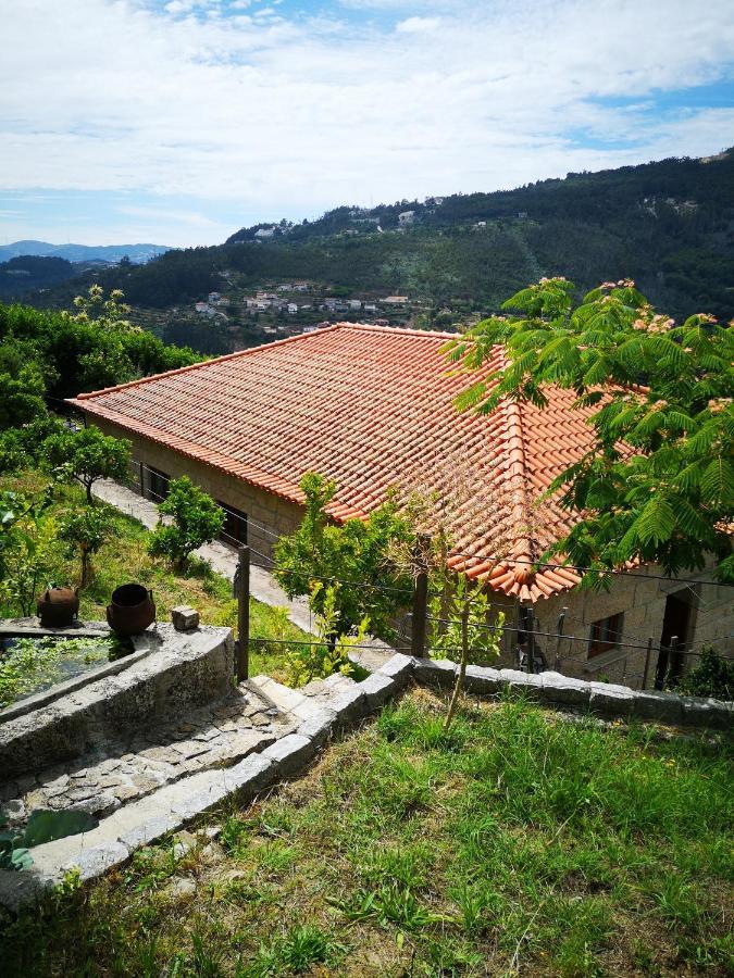 Вилла Encosta Do Douro - Rio Douro Синфайнш Экстерьер фото