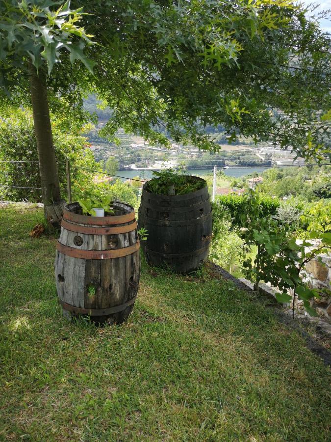Вилла Encosta Do Douro - Rio Douro Синфайнш Экстерьер фото