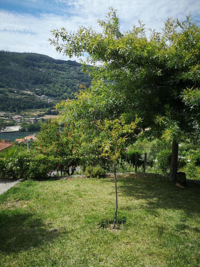 Вилла Encosta Do Douro - Rio Douro Синфайнш Экстерьер фото