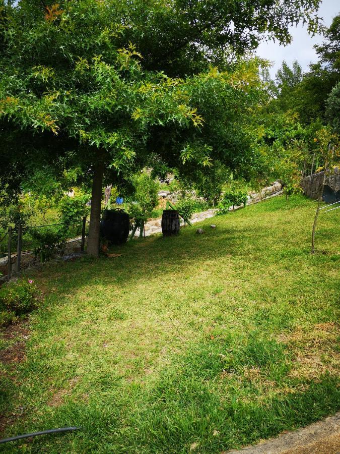 Вилла Encosta Do Douro - Rio Douro Синфайнш Экстерьер фото